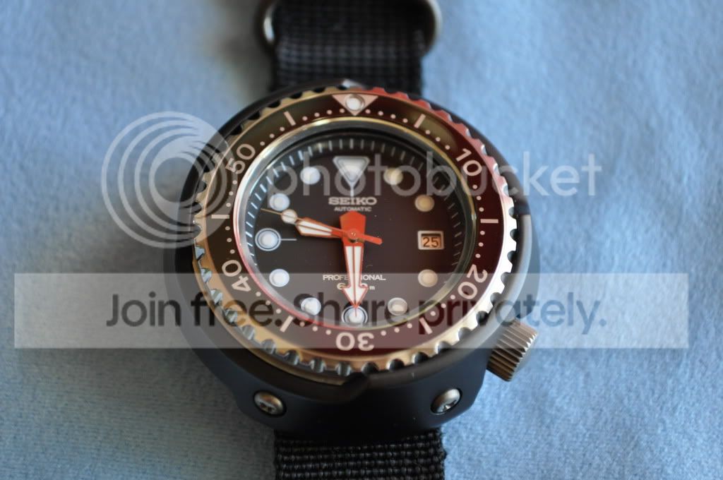 sbdx005
